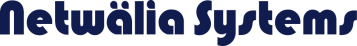 Netwälia – Solucions professionals en Ciberseguretat i Xarxes per empreses